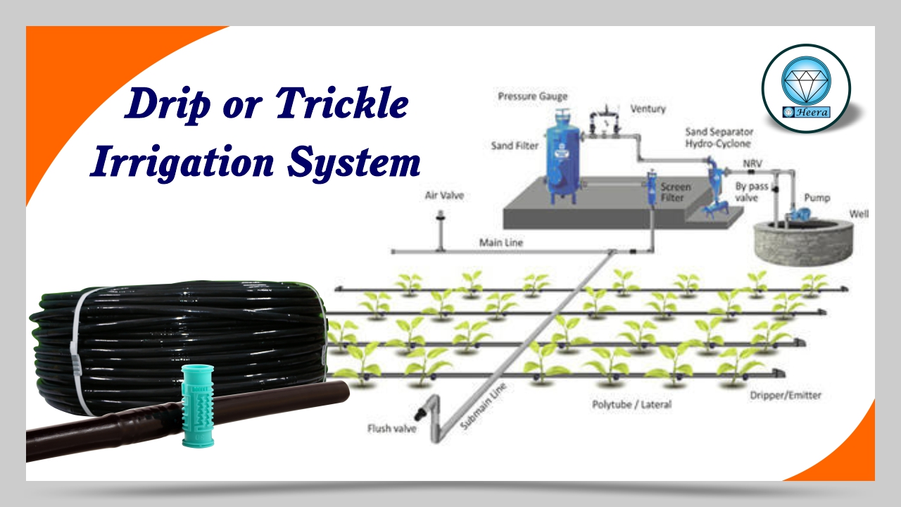 drip or trickle irrigation